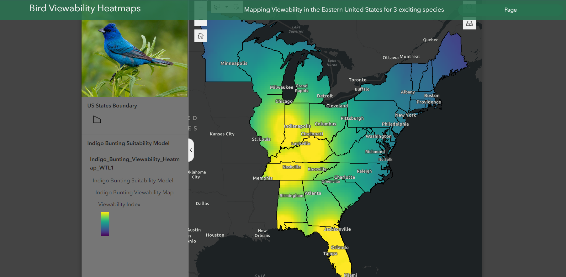 Ex Builder Bird Heatmap